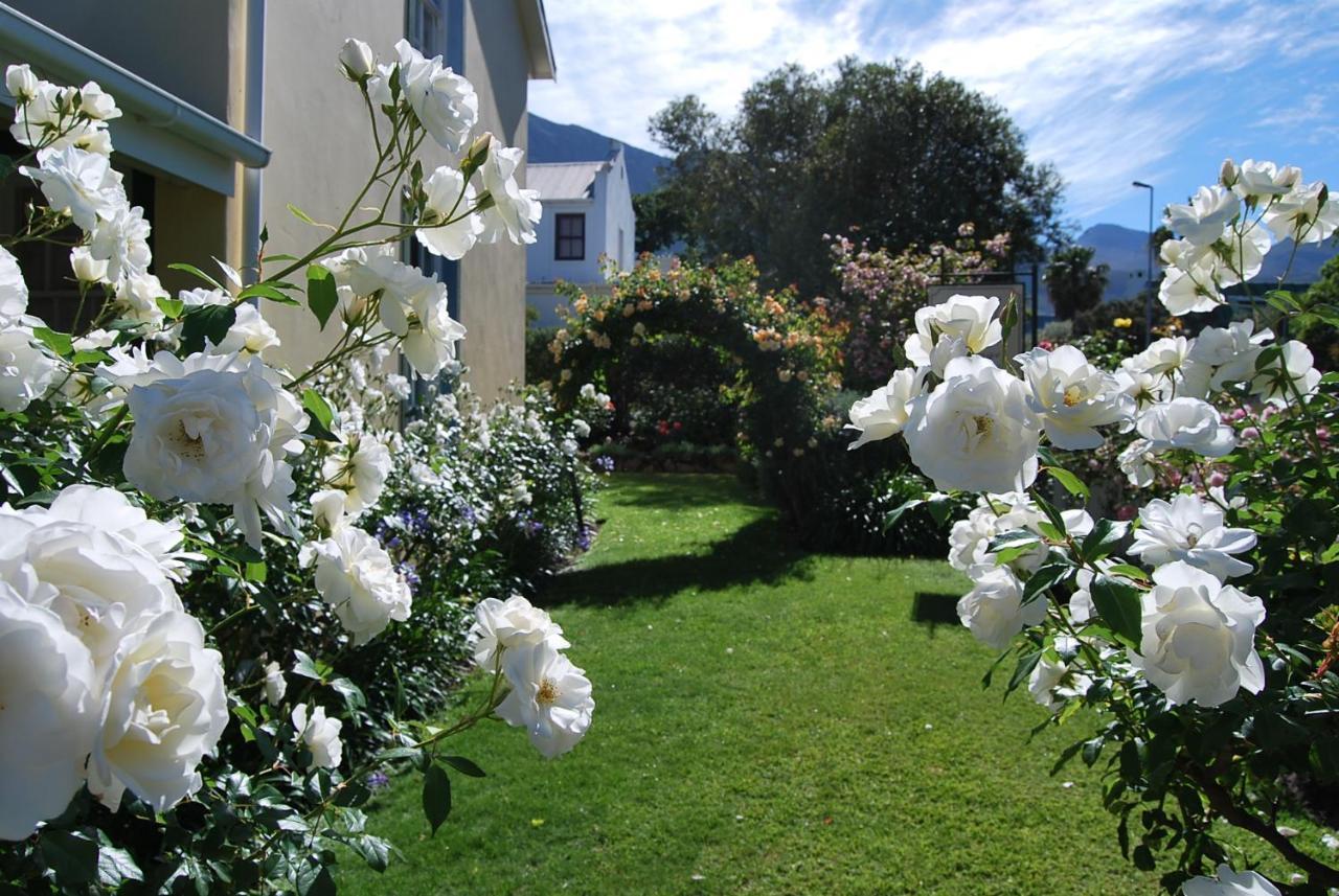Lavender Cottage Franschhoek Exterior foto